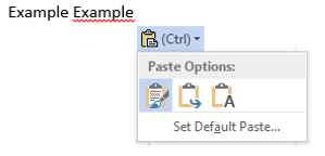 Microsoft Word Paste Options